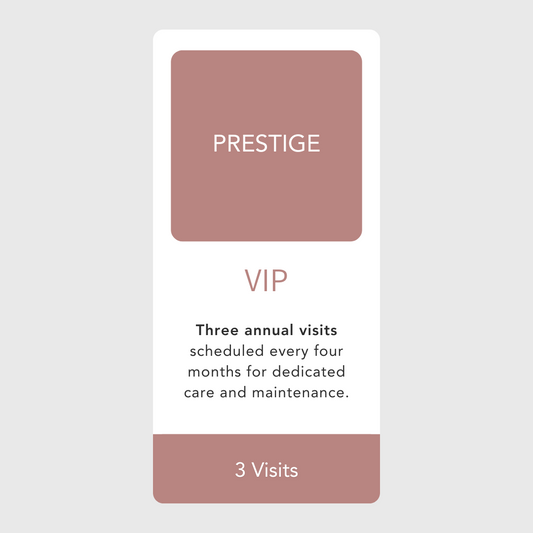 Annual Maintenance Package